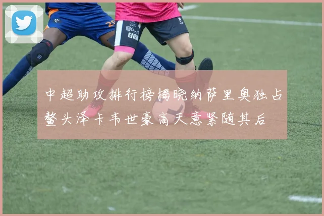 中超助攻排行榜揭晓纳萨里奥独占鳌头泽卡韦世豪高天意紧随其后