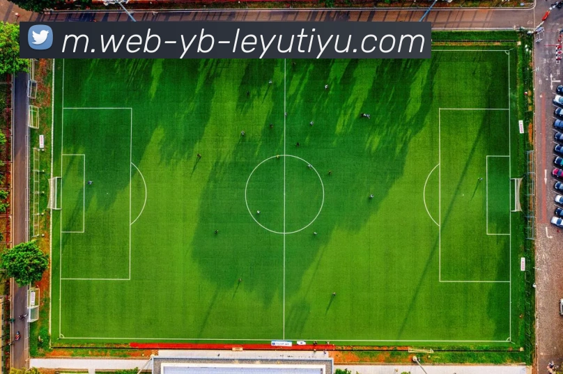App Interface Preview