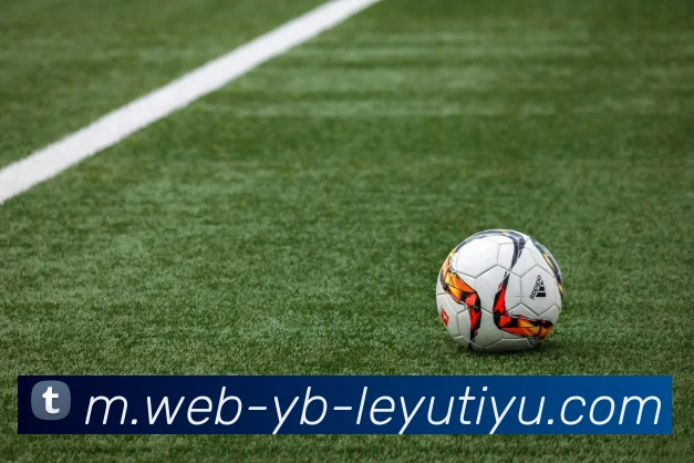 乐鱼体育APP 封面图